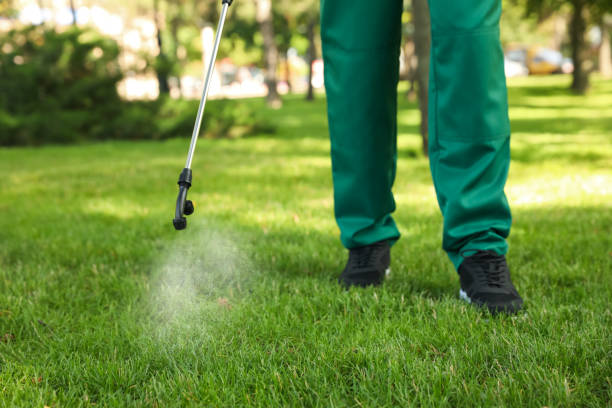 Best Mosquito Control Services  in New Kensington, PA