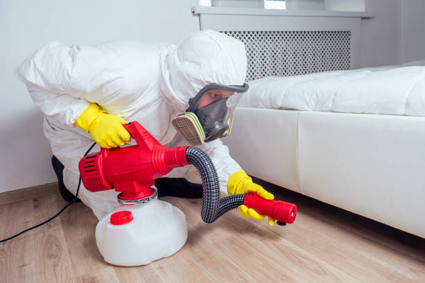 Best Emergency Pest Control  in New Kensington, PA