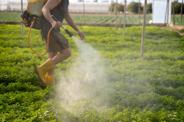 Best Ant Control Services  in New Kensington, PA