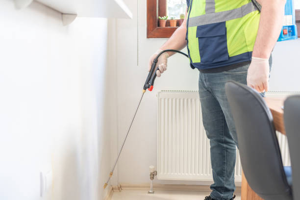 Best Affordable Pest Control Services  in New Kensington, PA