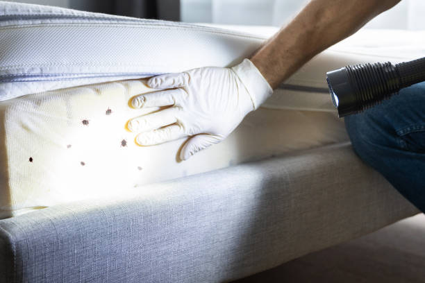 Best Pest Prevention Services  in New Kensington, PA