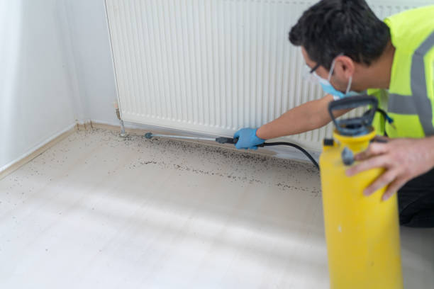 Best Best Pest Control Companies  in New Kensington, PA