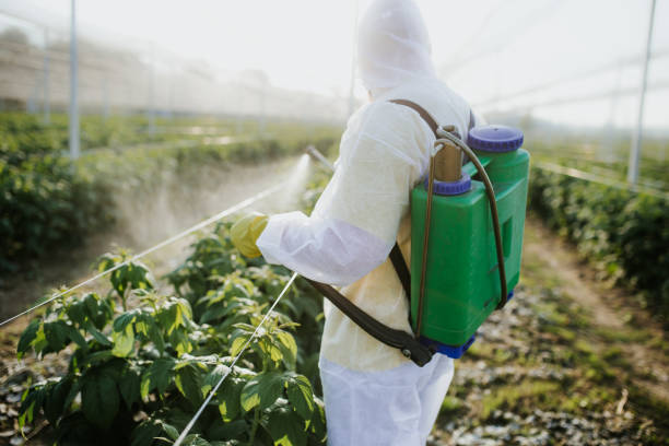 Best Residential Pest Control  in New Kensington, PA